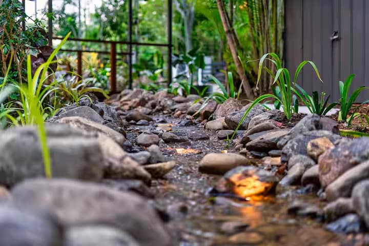 Close-up of natural rock stream with underwater LED lighting and plants