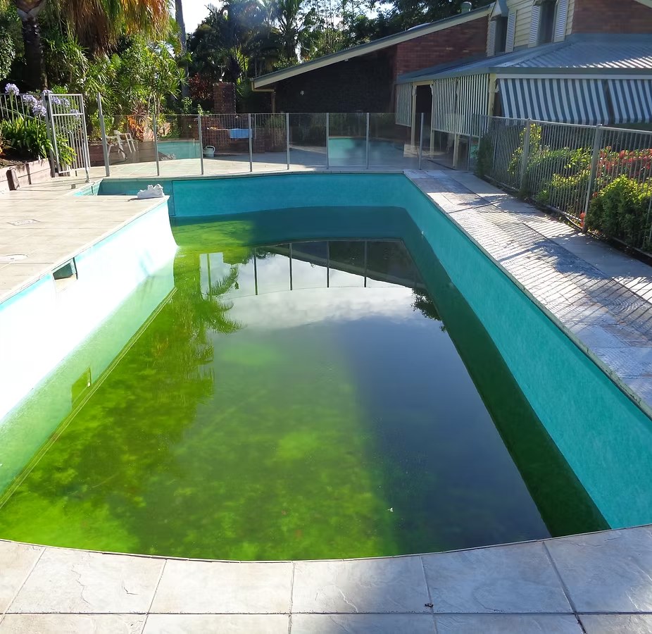 Before - Complete pool interior resurface — South East Queensland
